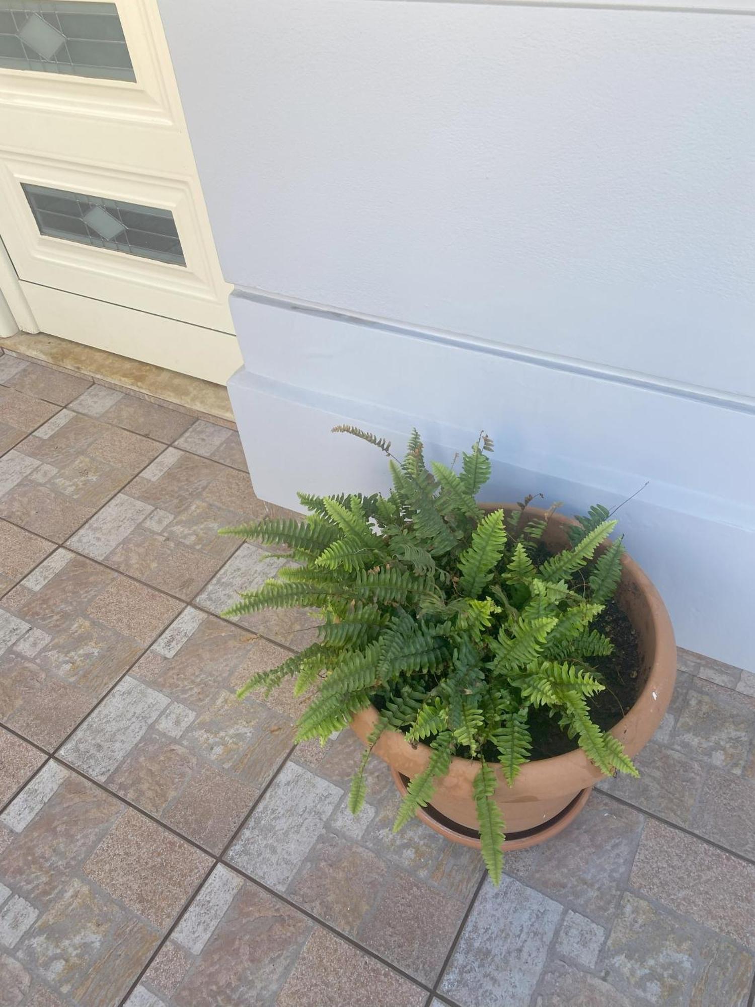 New Unique Apartment In Heraklion Esterno foto